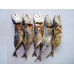 Only Dry Fish (BANGADE)-Medium 10pcs